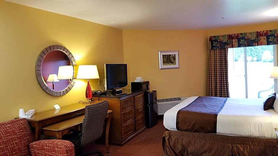 Photo 1 of 16 of Deluxe 1 King Bed with Sofabed, No Pets