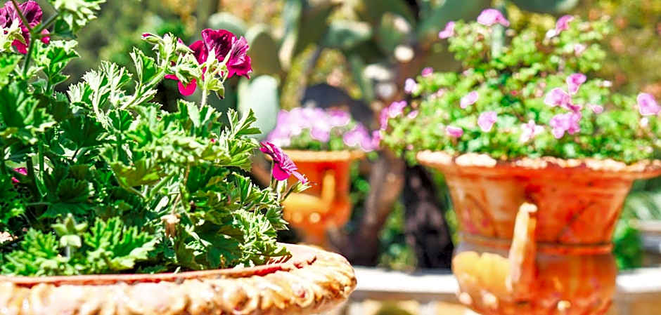 Villa Caterina - Solemar Sicilia