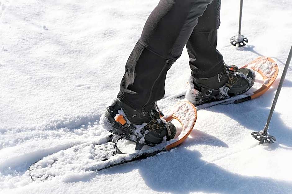 SeeHotel & SeeApartments Kärntnerhof- direkt am See!