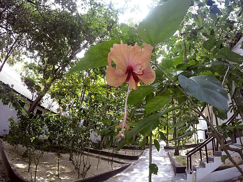 Perhentian Tivoli Inn