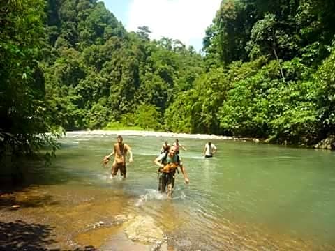 ORANGUTANTREKSUMATRA & LOVELY JUNGLE LODGE only book IF you are treking with us