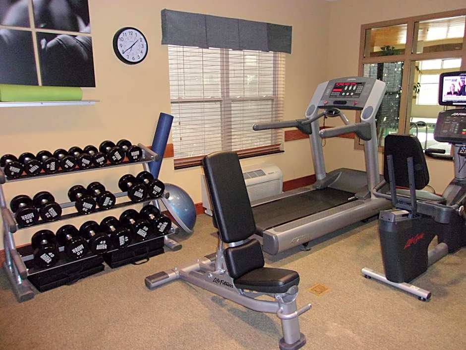 Holiday Inn Express & Suites Chicago West-Roselle By IHG