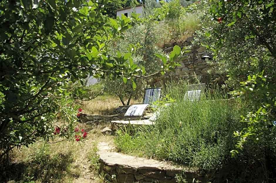 Terrace Houses Sirince - Fig, Olive Clockmakers and Grapevine