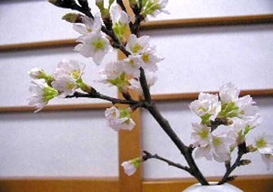 Wakaba Ryokan / Vacation STAY 29362