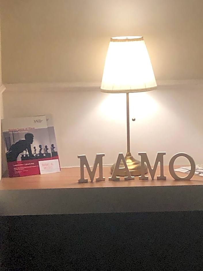 MAMO al Museo