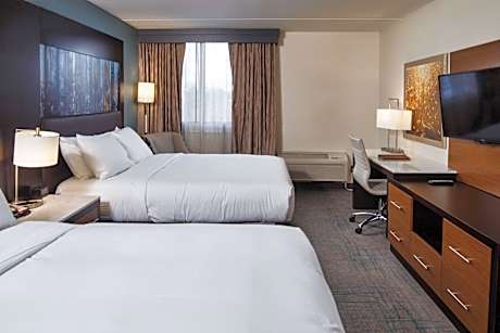 1 King Bed Pullout Sofa