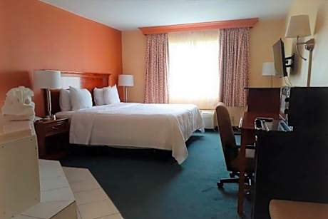 King Bed Non-Smoking