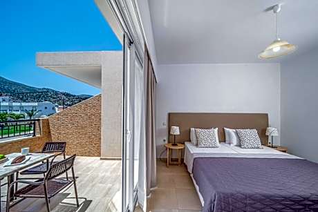 Superior One-Bedroom Apartment with Pool View