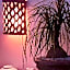 Riad CHERRATA
