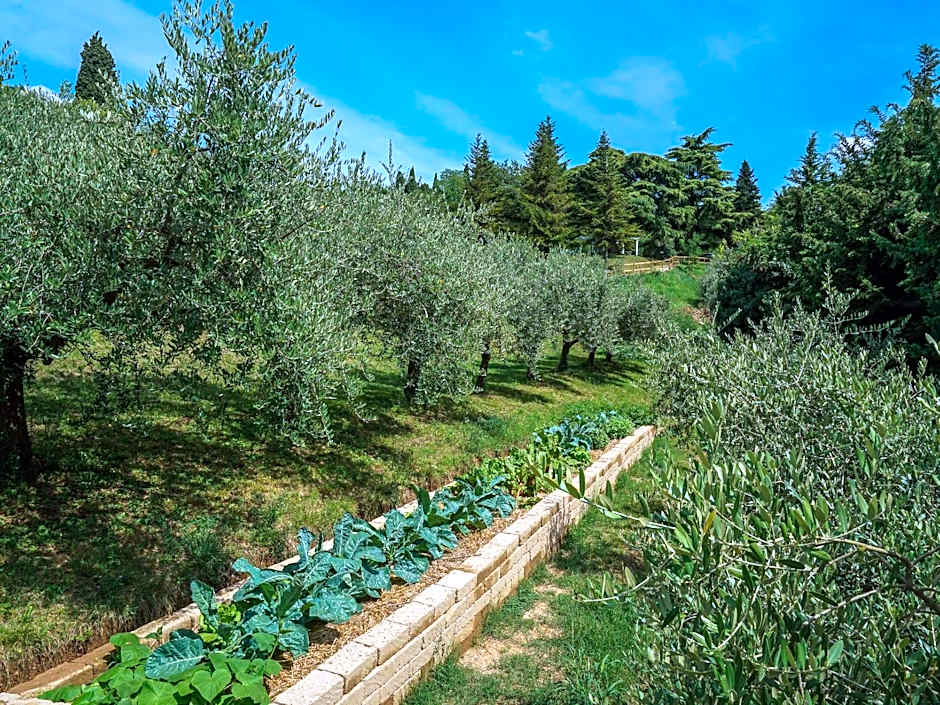 Cà Toresele Relais Osteria Garden