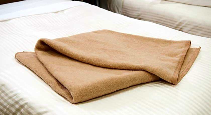 Sotetsu Fresa Inn Daimon