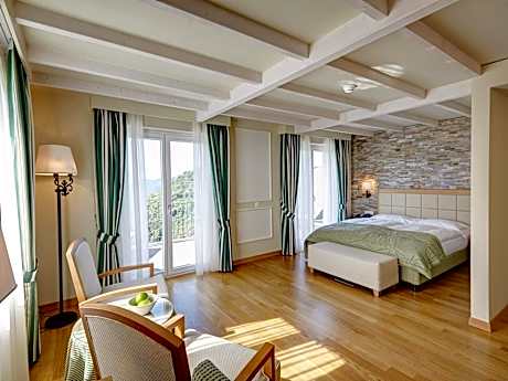 Comfort Double Room with Lake View