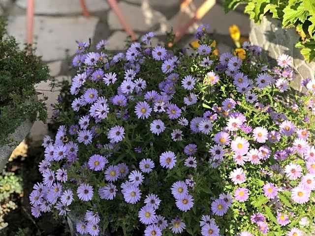Les Belles Terrasses