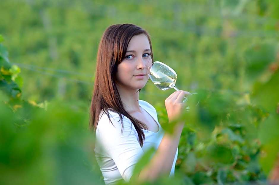 Penzion a vinařství U Vrbů