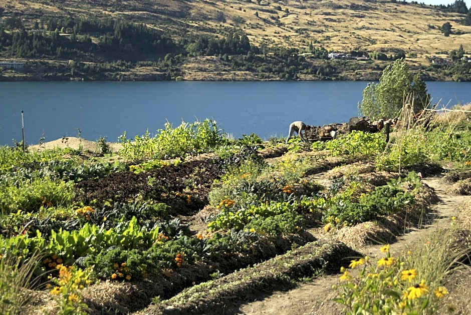 Sherwood Queenstown