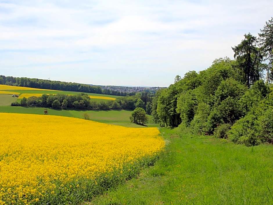 Hotel Landgasthof Gemmer