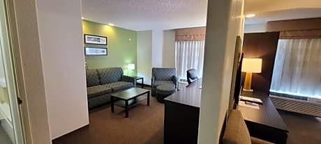 1 King Bed Studio Suite Non-Smoking