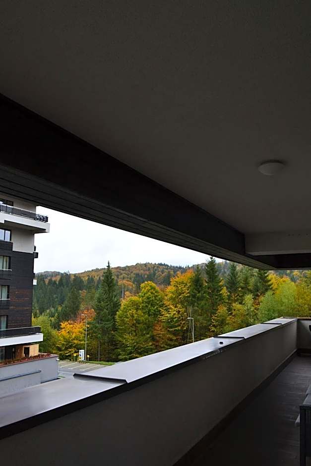 Mountain Nest in Silver Mountain Poiana Brasov