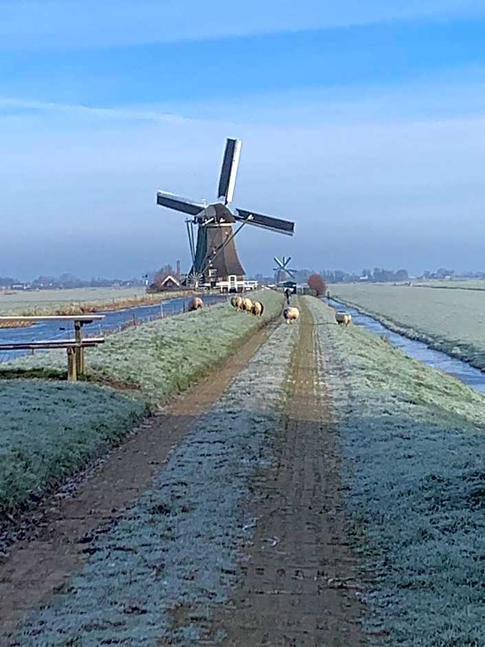 Aangenaam op de Rijn, woonboot, inclusief privé sauna