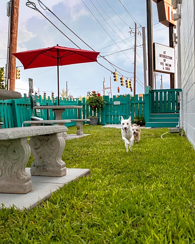 The Thunderbird Inn