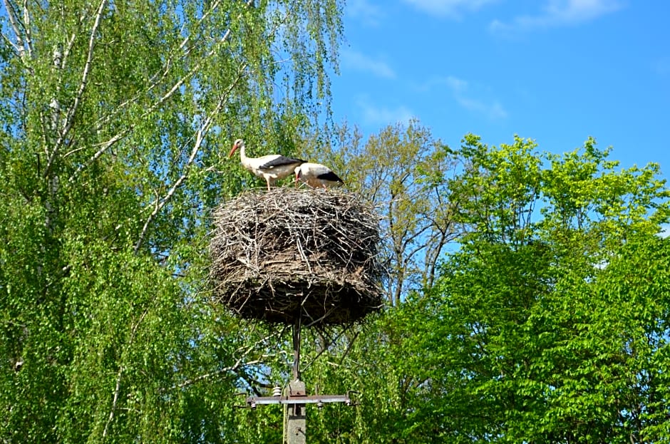 Domek całoroczny MARKO