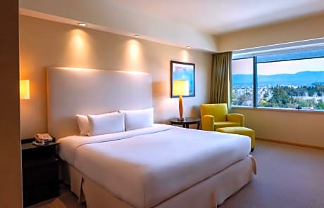 1 King 1 Bdrm Exec Fl Suite