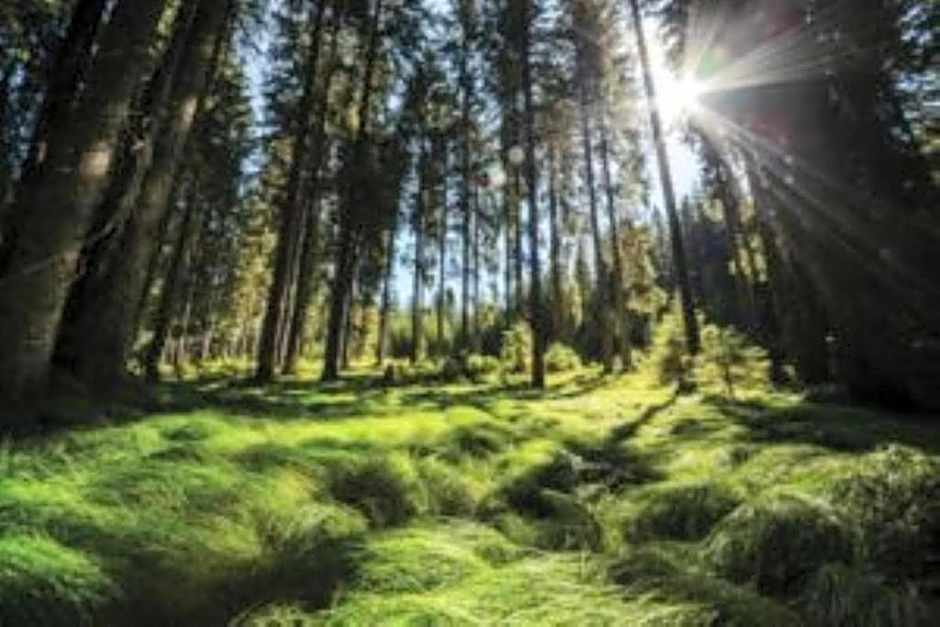 Fully equipped SIX BEDROOM HOUSE 15 kilometers from Lake Bled - with a terrace, garden, playground, and parking