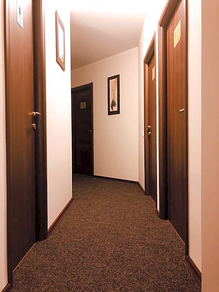 Monte Carlo Palace Rooms