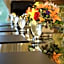 Hilton Garden Inn Milwaukee Northwest Conference Center