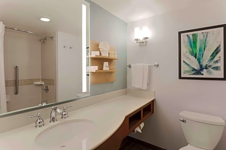 1 King Hearing Accessible Room