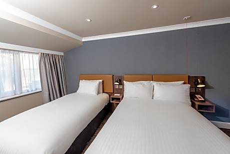 Standard Double Room - Accessible