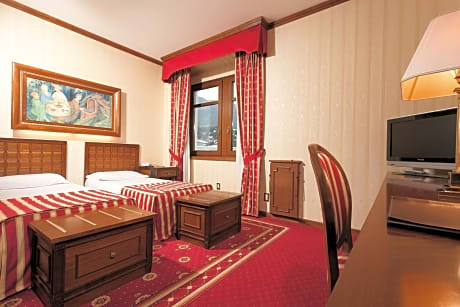 Classic Double or Twin Room (2 Twin Beds)