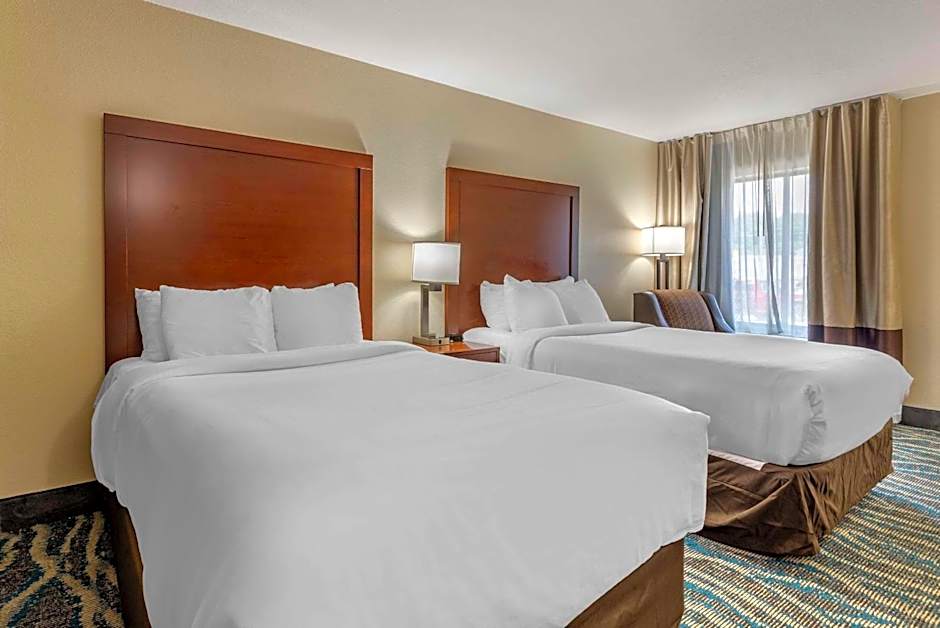 Comfort Inn Asheville East-Blue Ridge Pkwy Access