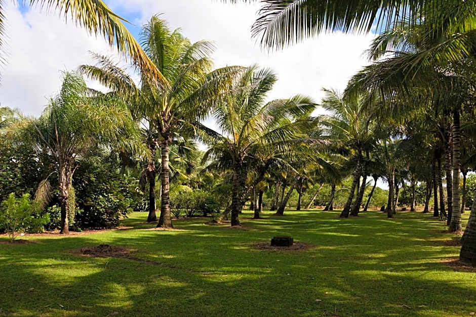 Domaine des Oiseaux Réunion