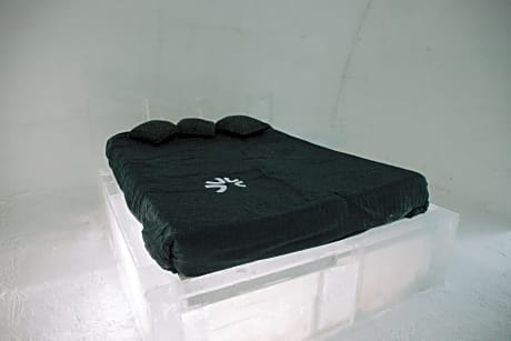 Room with 1 Queen bed