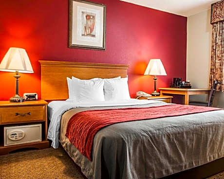 1 King Bed Non-Smoking
