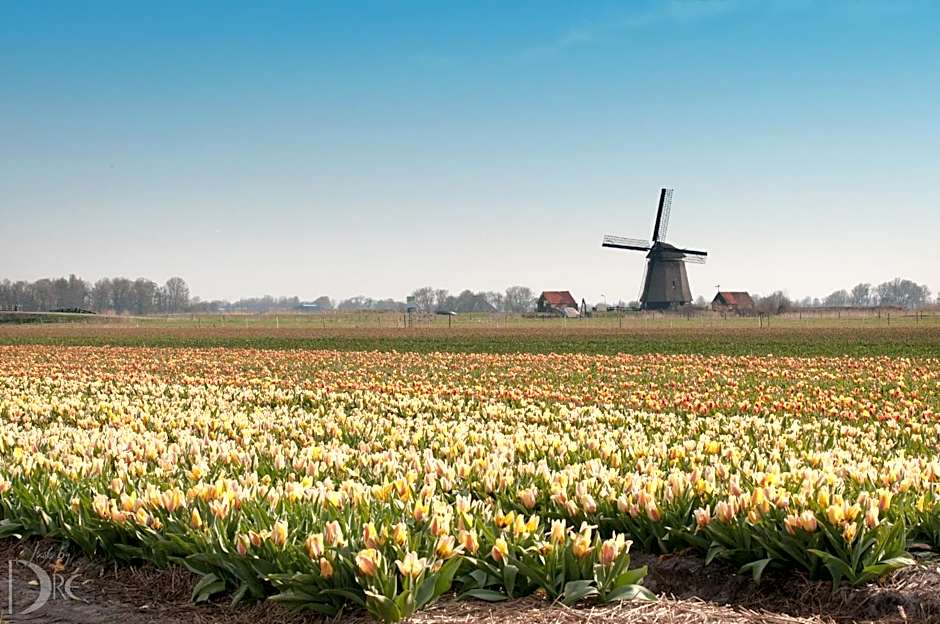 Strandhotel de Vassy