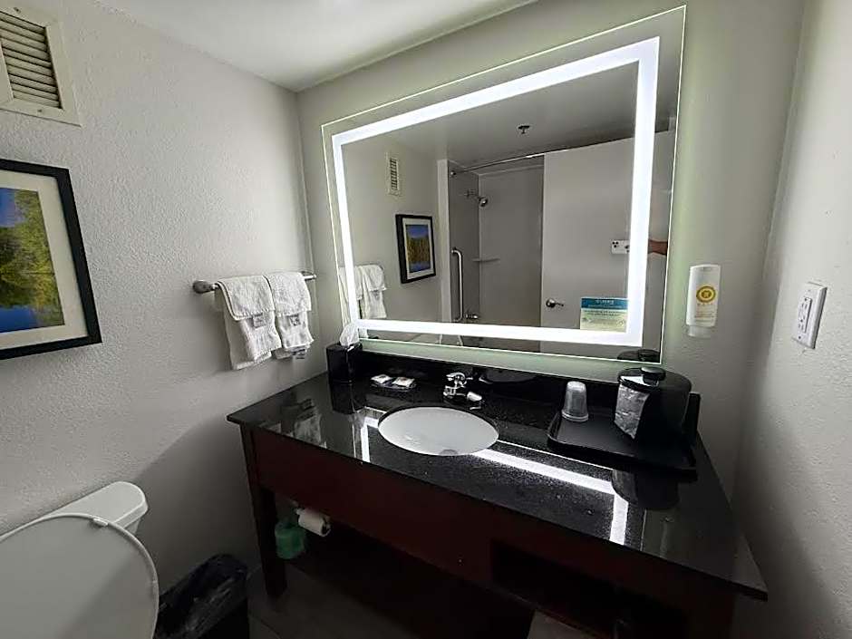 Comfort Inn Conyers