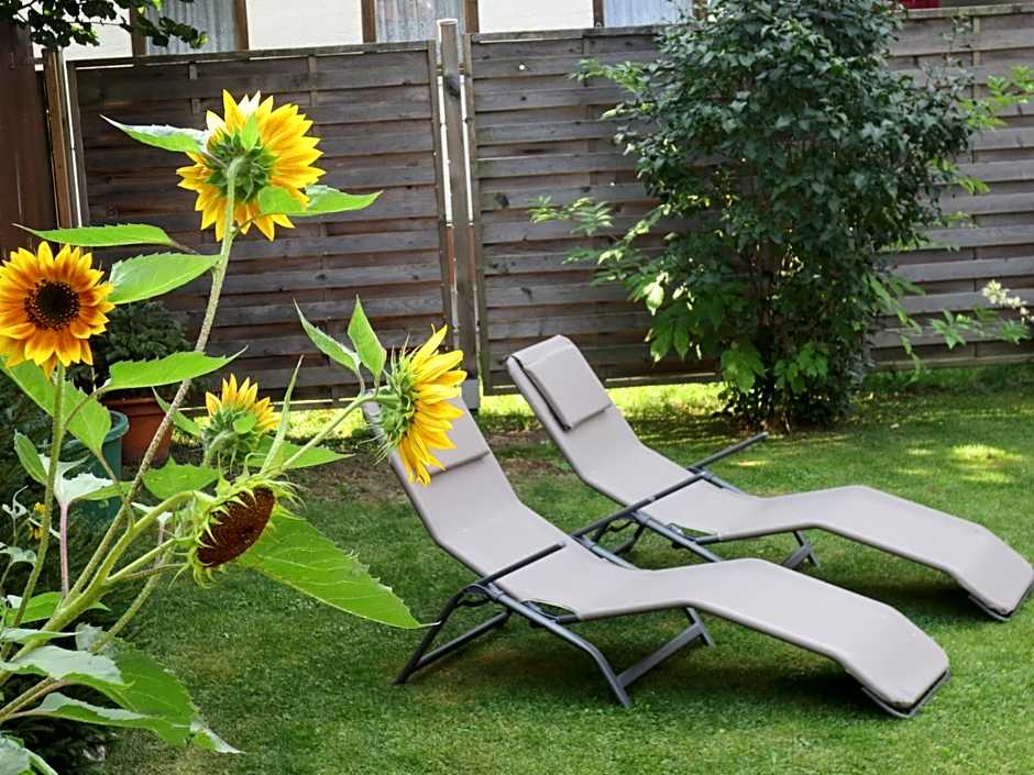 Hotel Alp Inn - Chiemgaukarte inclusive