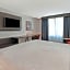 Hilton Garden Inn Houston/Galleria Area