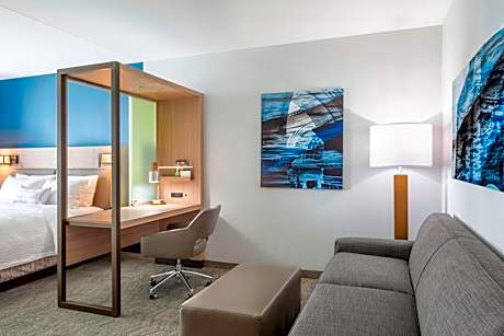 King Suite with Lake View, Roll-In Shower and Sofa Bed - Mobility Access