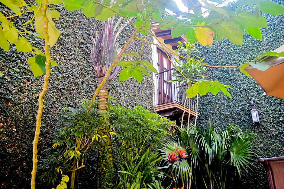 Meson del Alferez Coatepec