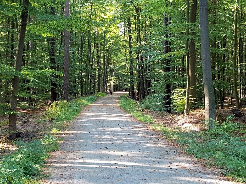 Domki Morskie Opowieści
