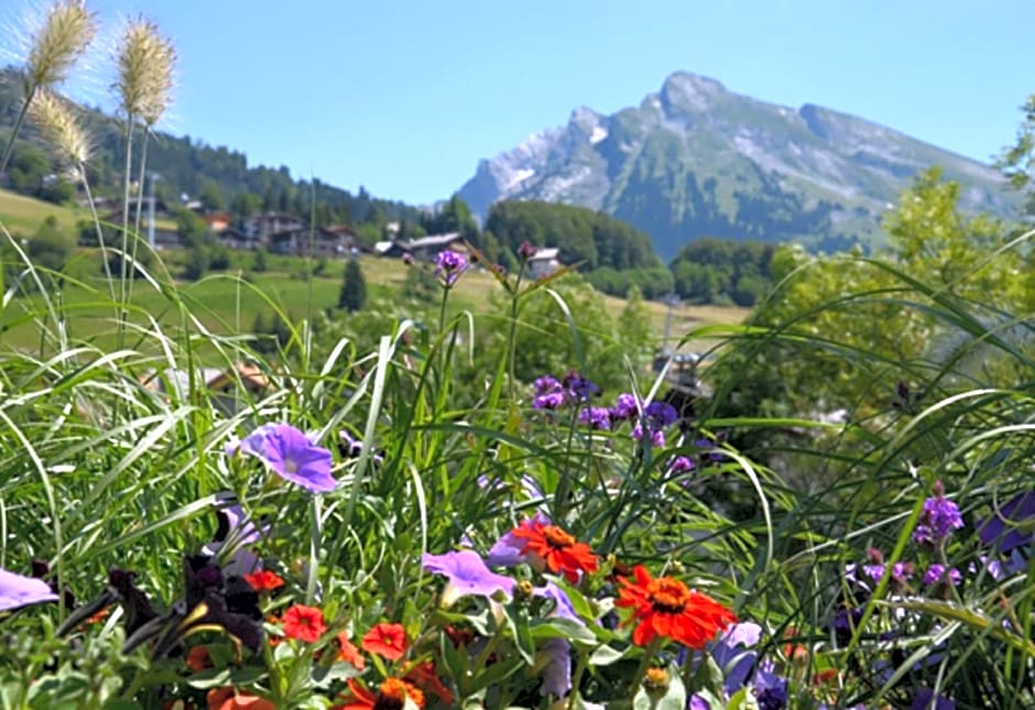 Chalet-Hôtel du Borderan