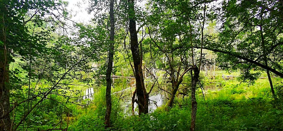 Prášily 100 - apartmány