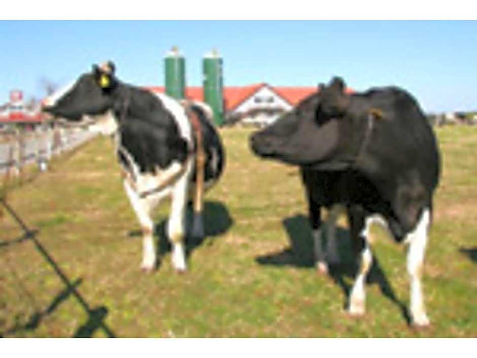 Ichihara Marine Hotel - Vacation STAY 01289v