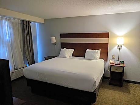 1 King Bed Executive Suite Non-Smoking