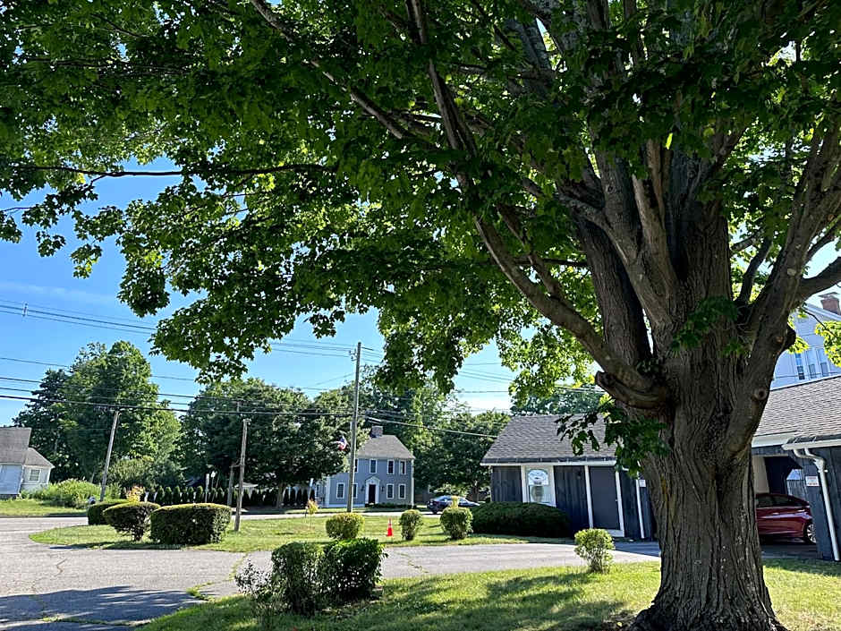 Village Motel