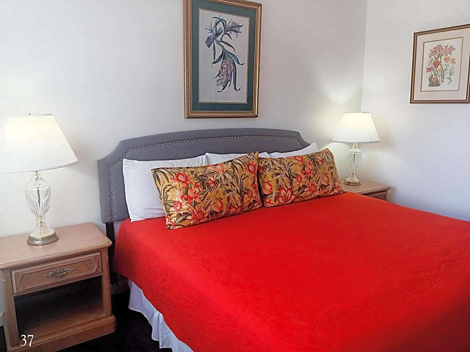 The Cozy Inn