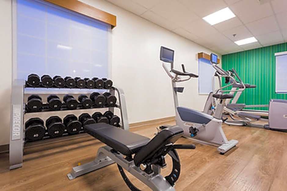 Holiday Inn Express Hotel & Suites Reading By IHG